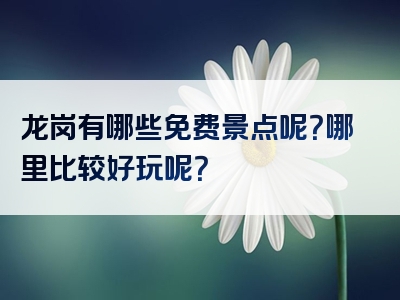 龙岗有哪些免费景点呢？哪里比较好玩呢？