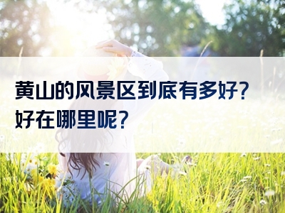 黄山的风景区到底有多好？好在哪里呢？