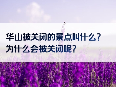 华山被关闭的景点叫什么？为什么会被关闭呢？