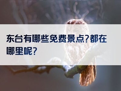 东台有哪些免费景点？都在哪里呢？