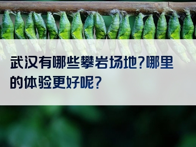 武汉有哪些攀岩场地？哪里的体验更好呢？