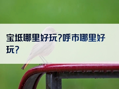 宝坻哪里好玩？呼市哪里好玩？