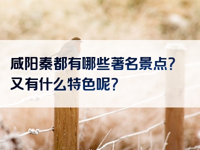 咸阳秦都有哪些著名景点？又有什么特色呢？