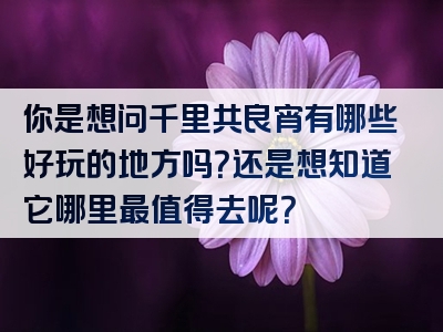 你是想问千里共良宵有哪些好玩的地方吗？还是想知道它哪里最值得去呢？