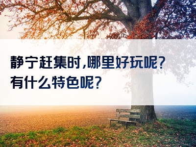 静宁赶集时，哪里好玩呢？有什么特色呢？