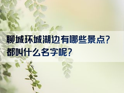 聊城环城湖边有哪些景点？都叫什么名字呢？