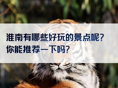 淮南有哪些好玩的景点呢？你能推荐一下吗？