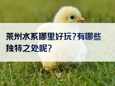 莱州水系哪里好玩？有哪些独特之处呢？