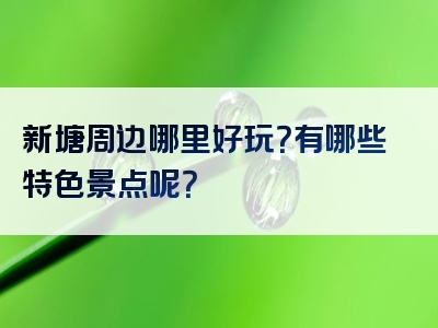 新塘周边哪里好玩？有哪些特色景点呢？