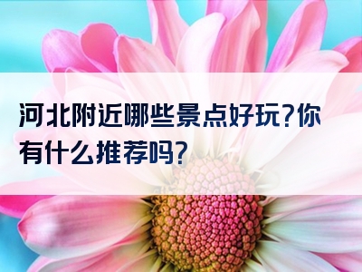河北附近哪些景点好玩？你有什么推荐吗？