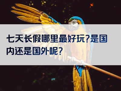 七天长假哪里最好玩？是国内还是国外呢？