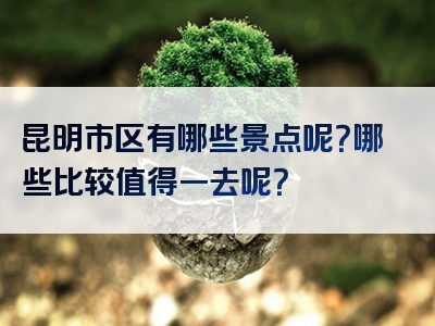 昆明市区有哪些景点呢？哪些比较值得一去呢？