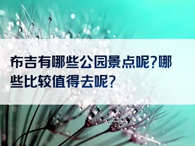 布吉有哪些公园景点呢？哪些比较值得去呢？