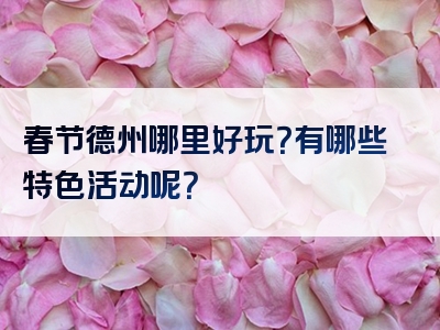 春节德州哪里好玩？有哪些特色活动呢？