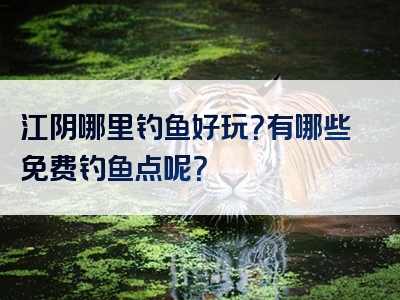 江阴哪里钓鱼好玩？有哪些免费钓鱼点呢？
