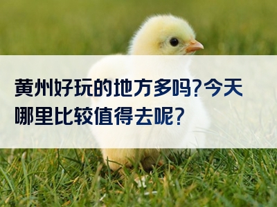 黄州好玩的地方多吗？今天哪里比较值得去呢？