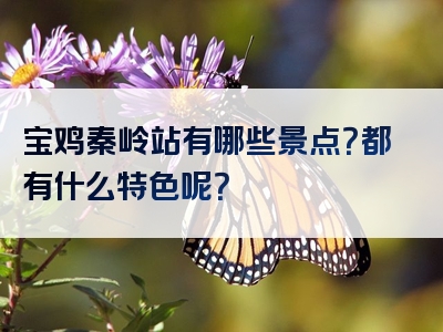 宝鸡秦岭站有哪些景点？都有什么特色呢？