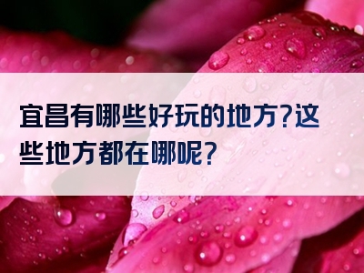 宜昌有哪些好玩的地方？这些地方都在哪呢？
