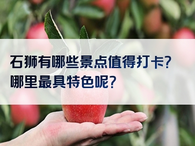 石狮有哪些景点值得打卡？哪里最具特色呢？
