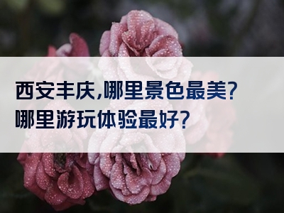 西安丰庆，哪里景色最美？哪里游玩体验最好？