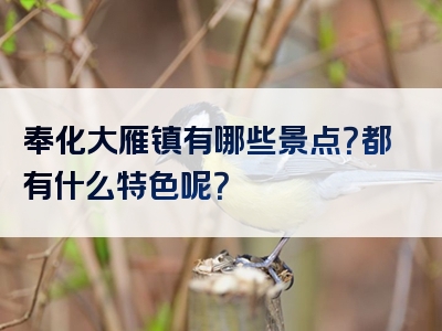 奉化大雁镇有哪些景点？都有什么特色呢？