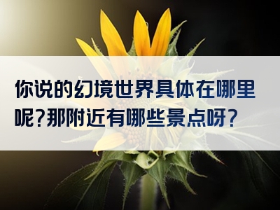 你说的幻境世界具体在哪里呢？那附近有哪些景点呀？