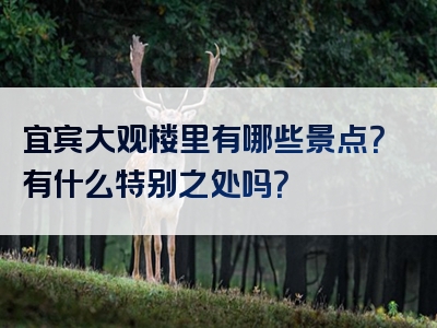 宜宾大观楼里有哪些景点？有什么特别之处吗？