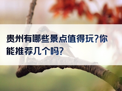 贵州有哪些景点值得玩？你能推荐几个吗？