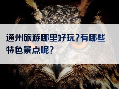 通州旅游哪里好玩？有哪些特色景点呢？