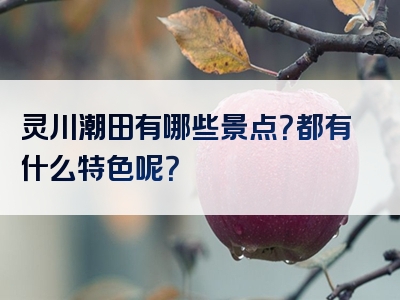 灵川潮田有哪些景点？都有什么特色呢？