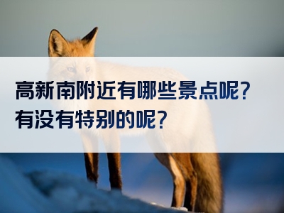 高新南附近有哪些景点呢？有没有特别的呢？