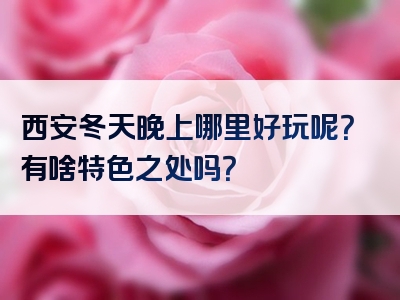 西安冬天晚上哪里好玩呢？有啥特色之处吗？