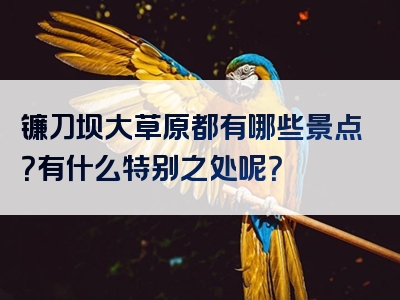 镰刀坝大草原都有哪些景点？有什么特别之处呢？