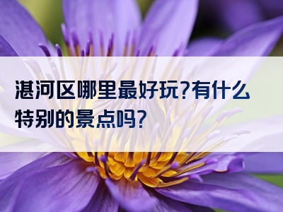 湛河区哪里最好玩？有什么特别的景点吗？