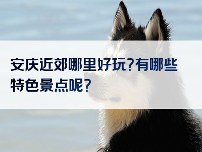 安庆近郊哪里好玩？有哪些特色景点呢？