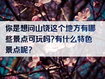 你是想问山饶这个地方有哪些景点可玩吗？有什么特色景点呢？