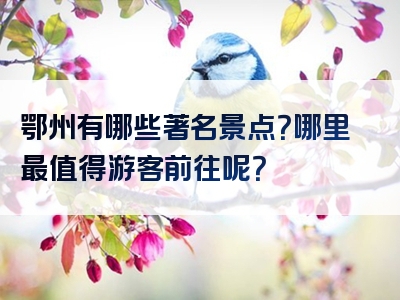 鄂州有哪些著名景点？哪里最值得游客前往呢？