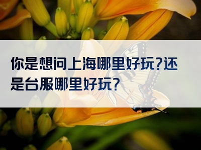 你是想问上海哪里好玩？还是台服哪里好玩？