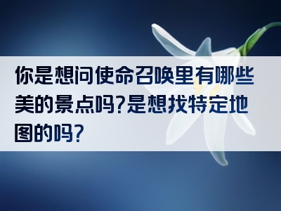 你是想问使命召唤里有哪些美的景点吗？是想找特定地图的吗？