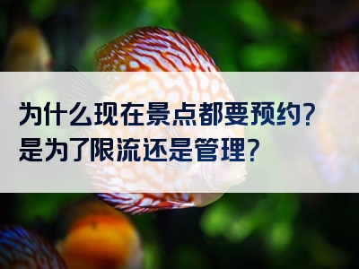 为什么现在景点都要预约？是为了限流还是管理？