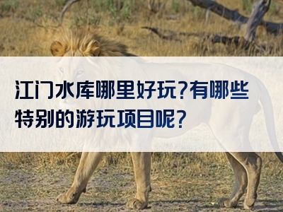 江门水库哪里好玩？有哪些特别的游玩项目呢？