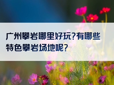 广州攀岩哪里好玩？有哪些特色攀岩场地呢？