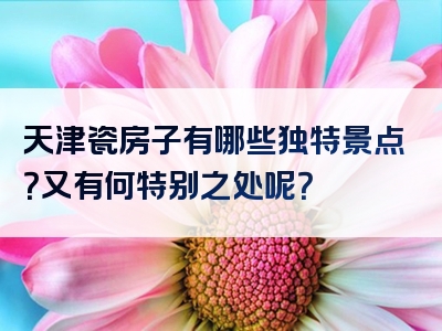 天津瓷房子有哪些独特景点？又有何特别之处呢？