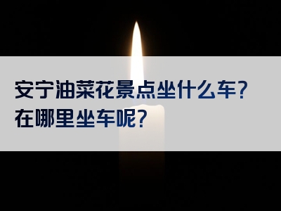 安宁油菜花景点坐什么车？在哪里坐车呢？