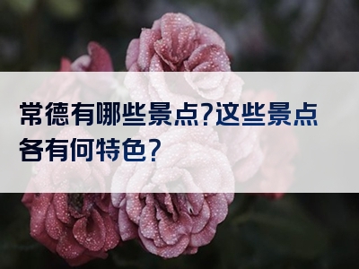 常德有哪些景点？这些景点各有何特色？