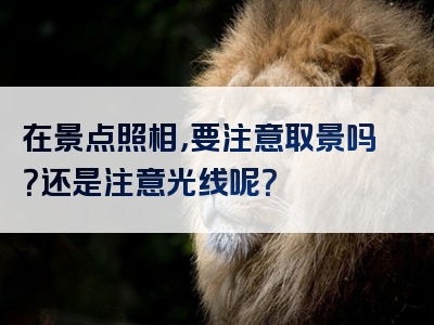 在景点照相，要注意取景吗？还是注意光线呢？