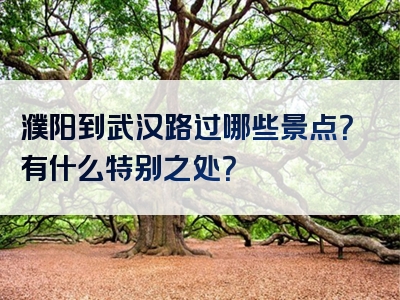 濮阳到武汉路过哪些景点？有什么特别之处？