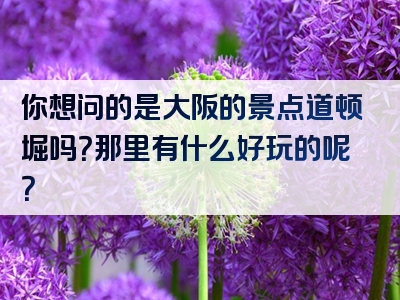 你想问的是大阪的景点道顿堀吗？那里有什么好玩的呢？