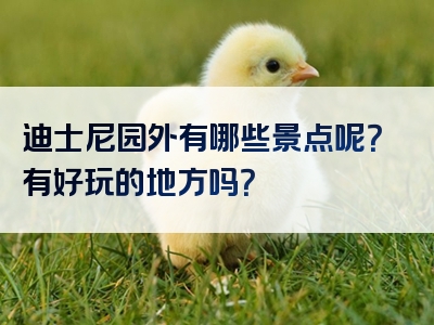 迪士尼园外有哪些景点呢？有好玩的地方吗？