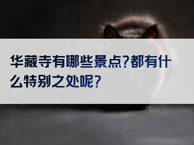 华藏寺有哪些景点？都有什么特别之处呢？